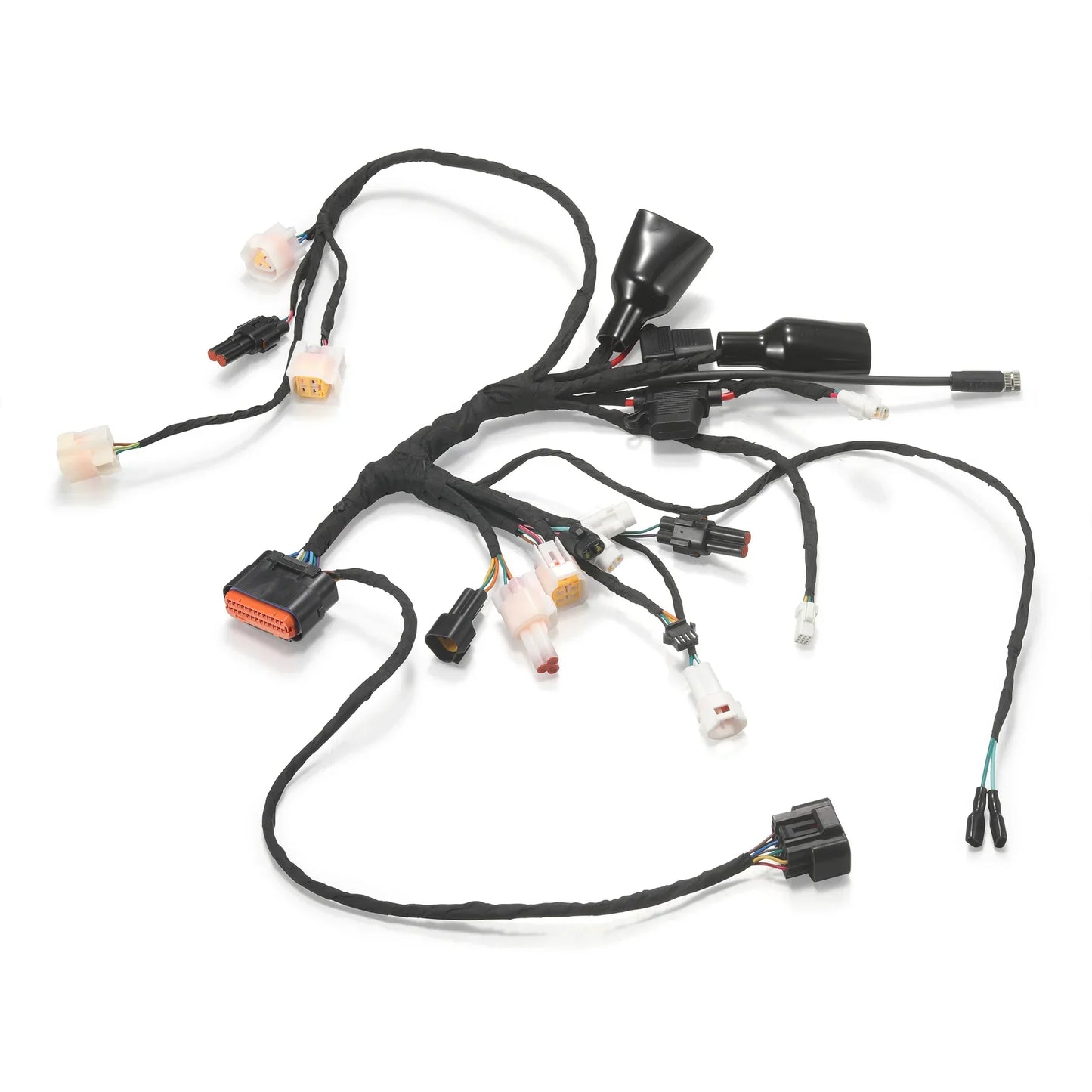 E6028-B Main Wiring Harness (MINI R)